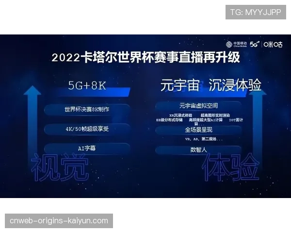 元宇宙观赛：虚拟包厢里的真球迷，元宇宙 虚拟身份